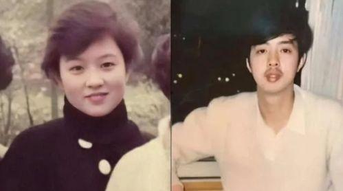 娱乐圈吃瓜爆料肖战小说,娱乐圈风云再起,揭秘明星背后的秘密